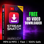 Stream Snatch free video downloader software box